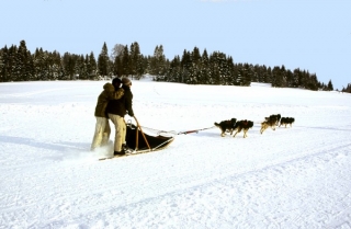  Mushing Haute Savoie